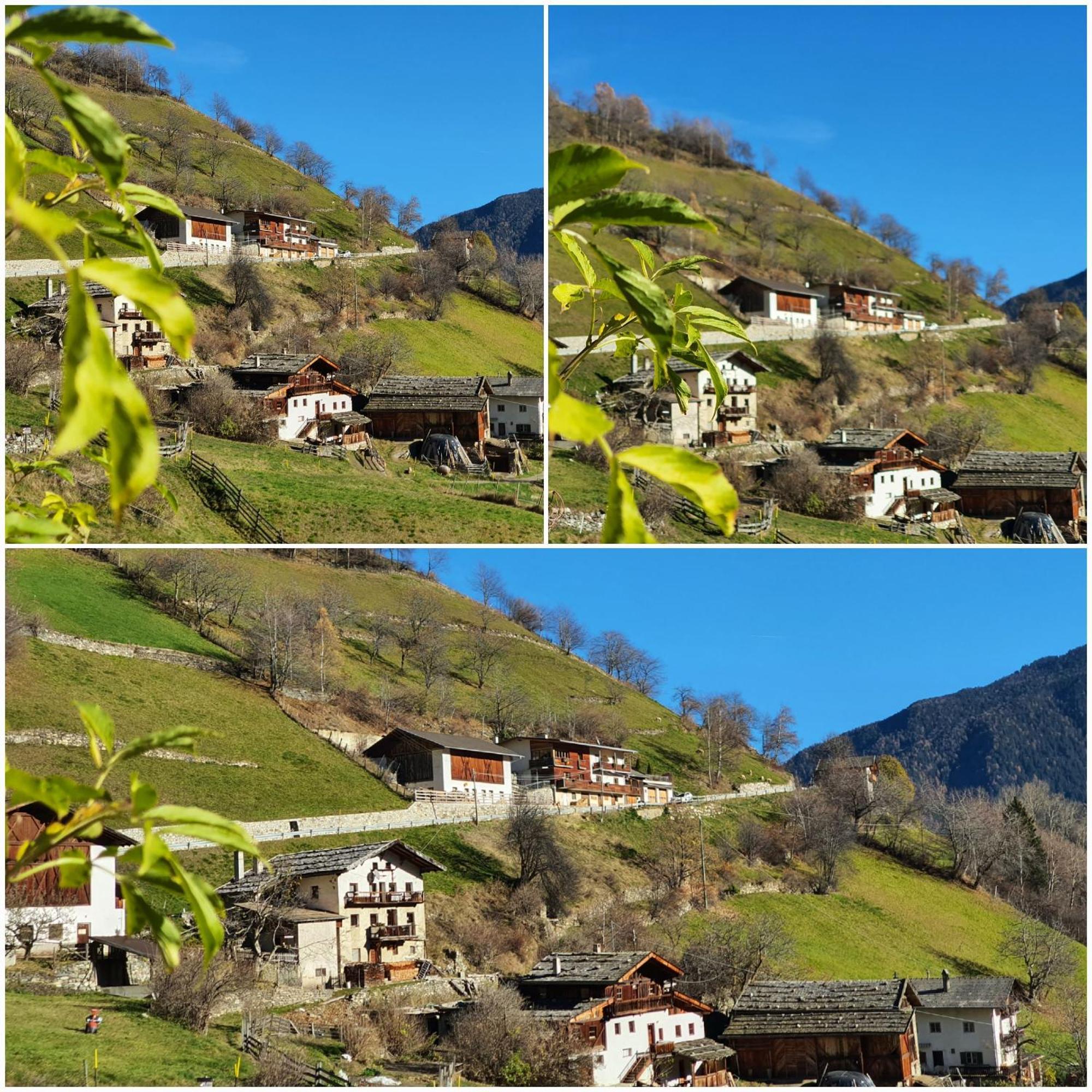 Wascherhof - Ferienwohnungen Oberhofer 마르텔로 외부 사진